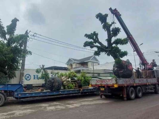 Xe chuyển hàng Bình Dương Tiền Giang