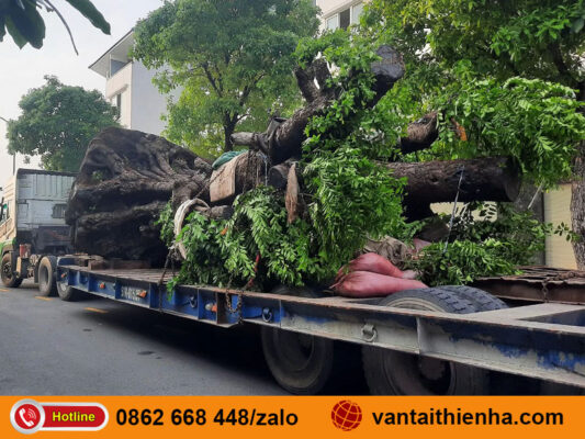 Gửi hàng từ Hà Nội đi Vũng Tàu