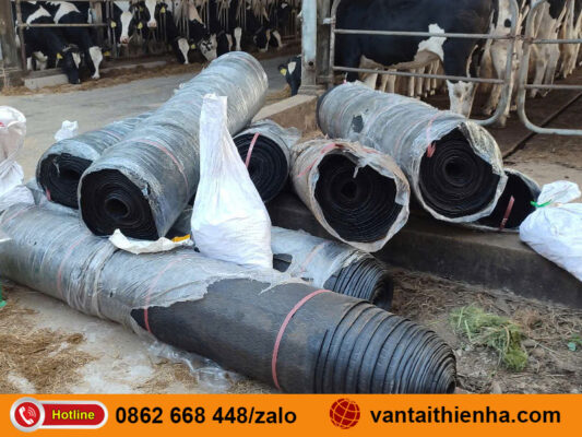 Chành xe gửi hàng Hải Dương đến Tân An