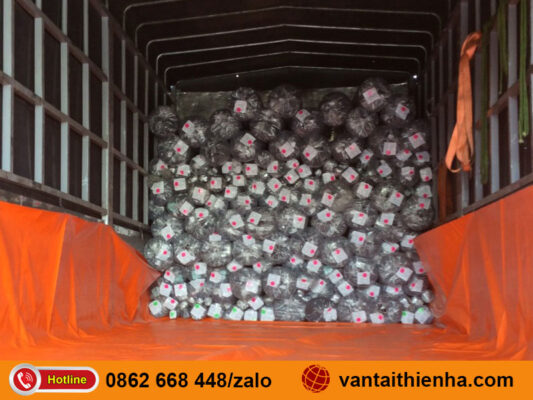 Chành xe gửi hàng Hải Dương Bảo Lộc