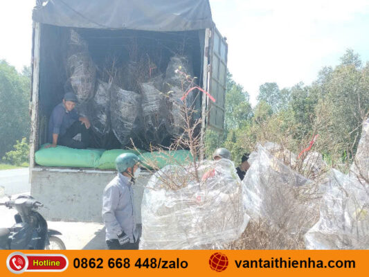 Chành xe gửi hàng Hải Phòng Huế