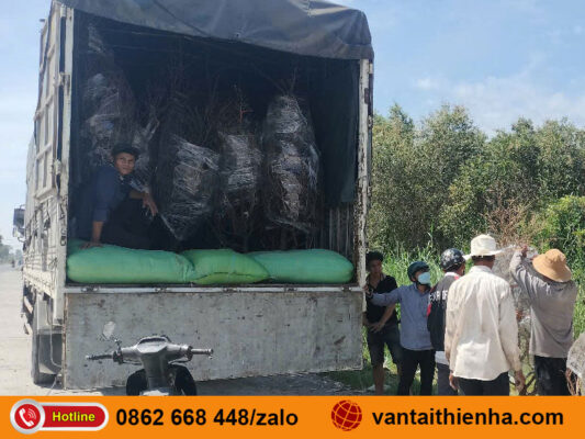 Chành xe gửi hàng Hải Phòng Quảng Trị