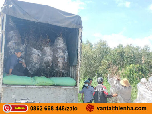 Chành xe gửi hàng Hải Phòng Quy Nhơn