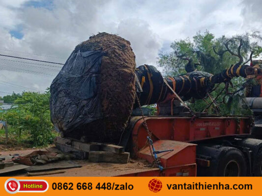 Chành xe gửi hàng Thái Nguyên đi Phan Thiết