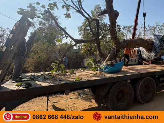 Chành xe gửi hàng TPHCM đến Cần Thơ