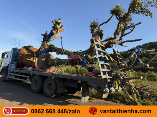 Chành xe gửi hàng Tuyên Quang đi Sầm Sơn